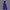 WW | Einfarbiger Damen Jumpsuit Aus Milchseide