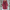 WW | Bathrobe - Textured Fleece - Long and Loose Fit - Button Closure with Pockets