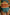 WW | High Waist Colorblock Marine Cut Back Crop Bikini Set
