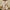 WW | Stylisches Set mit Top und Shorts
