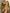 WW | Bikini Satz Druck