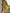 WW | Bikini Satz Druck
