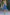 WW | Stilvolles Kurzes Kleid