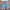 WW | Bequeme Shorts Baumwolle