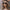 WW | Aviator Sonnenbrille