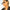 WW | Aviator Sonnenbrille
