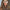 WW | Aviator Sonnenbrille