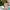WW | Boho Halb Transparent Herz Häkelspitze Brasilianischer Strand Überwurf Tanktop