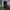 WW | Herren Leder Hausschuhe