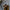 WW | Herren Leder Hausschuhe