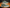 WW - Wildleder Schuhe