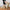 WW | Stilvolle Schuhe