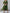 WW | stilvolles und elegantes Chiffonkleid mit V-Ausschnitt