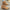 WW | Vintage Stiefeletten Mit Klobigem Absatz