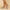 WW – Retro-Wedges