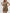 WW | Neck Button Down Weste Und Shorts Satz