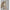 WW | Verschluss Hosen Stiefel Reiterstiefel Mittlere Wade