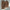 WW | Stylisches Und Zweiteiliges Leinen Set