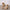 WW | Damensandalen mit Dickem Absatz