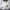WW | Herren Casual Plattform Sneaker mit