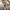 WW | Herrenbekleidung Trendy Sommeroutfit Stilvoll & Luftig
