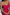 WW | Elegantes Strapless Jumpsuit Damen Satz