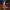 WW | Schicke Hochtaillierte Federbesatz Bodycon Minirock
