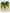 WW | Herren Strandschritt Flipflops