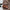 WW - Klassische Baguette-Schultertasche im Vintage-Stil