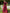 WW | Glänzendes Netz Blütenblattkleid Glänzendes Abendkleid