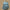 WW | Mode Frau wasserdichter Nylon leichter Rucksack