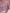 WW | Glänzendes Netz Blütenblattkleid Glänzendes Abendkleid