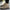 WW | Wildleder Low Top Sneaker