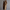 WW | Zeitloser Trenchcoat