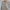 WW | Smart Grauer Pullover Mit Rundhalsausschnitt