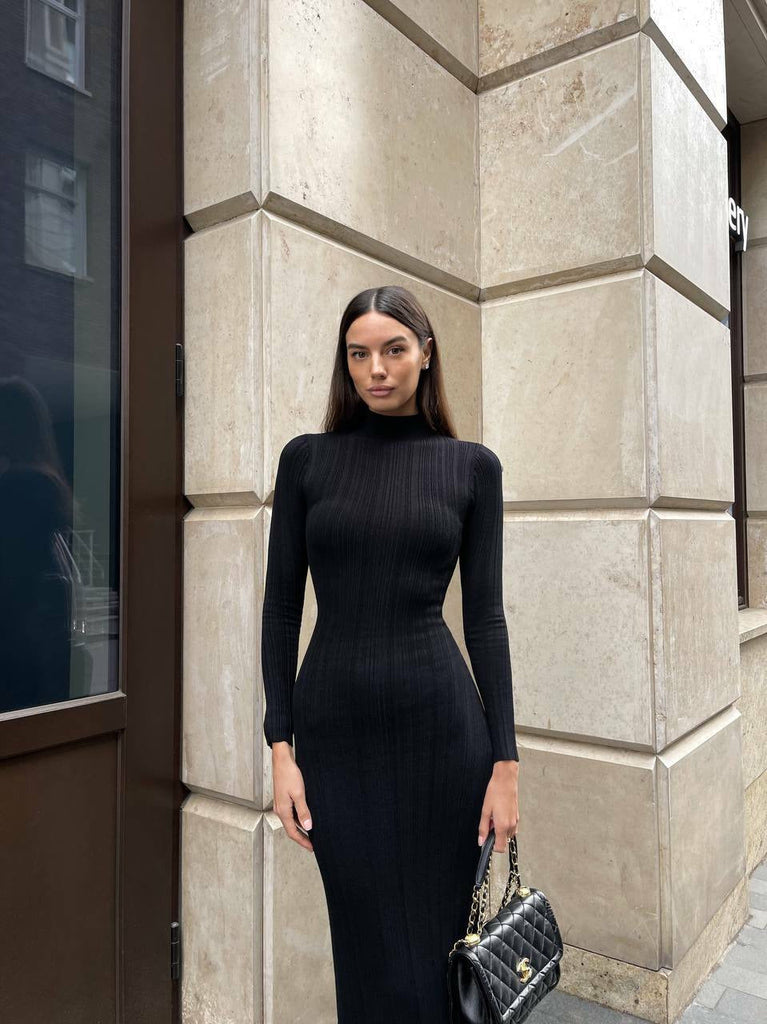 WW | Europäisch Französisch Rollkragen Pulloverkleid