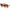 WW | Große Gradient Sonnenbrille für Damen