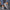 WW | Bequeme Flache Schuhe mit Blumenduschen
