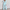 WW | Damen Anzug Satz Elegant