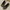 WW | Damen Bequeme Schuhe Elegant