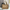 WW | Damen Designer Handtasche Schwarz