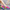 WW | Damen Fitness Sportschuhe Bunt