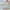 WW | Damen Fitness Sportschuhe Bunt