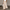 WW | Damen Elegant Weite Hose Sommer