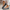 WW | Damen Flache Schuhe Modisch Elegant