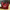 WW | Damen Designer Handtasche Schwarz