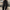 WW | Damen High-waist Hose Loose Fit