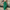 WW | Damen High-waist Hose Loose Fit