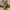 WW | Damen High-waist Hose Loose Fit
