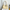 WW | Damen Kleine Handtasche Moderner